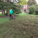 removing moss in the lawn