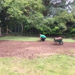 Lawn Renovation