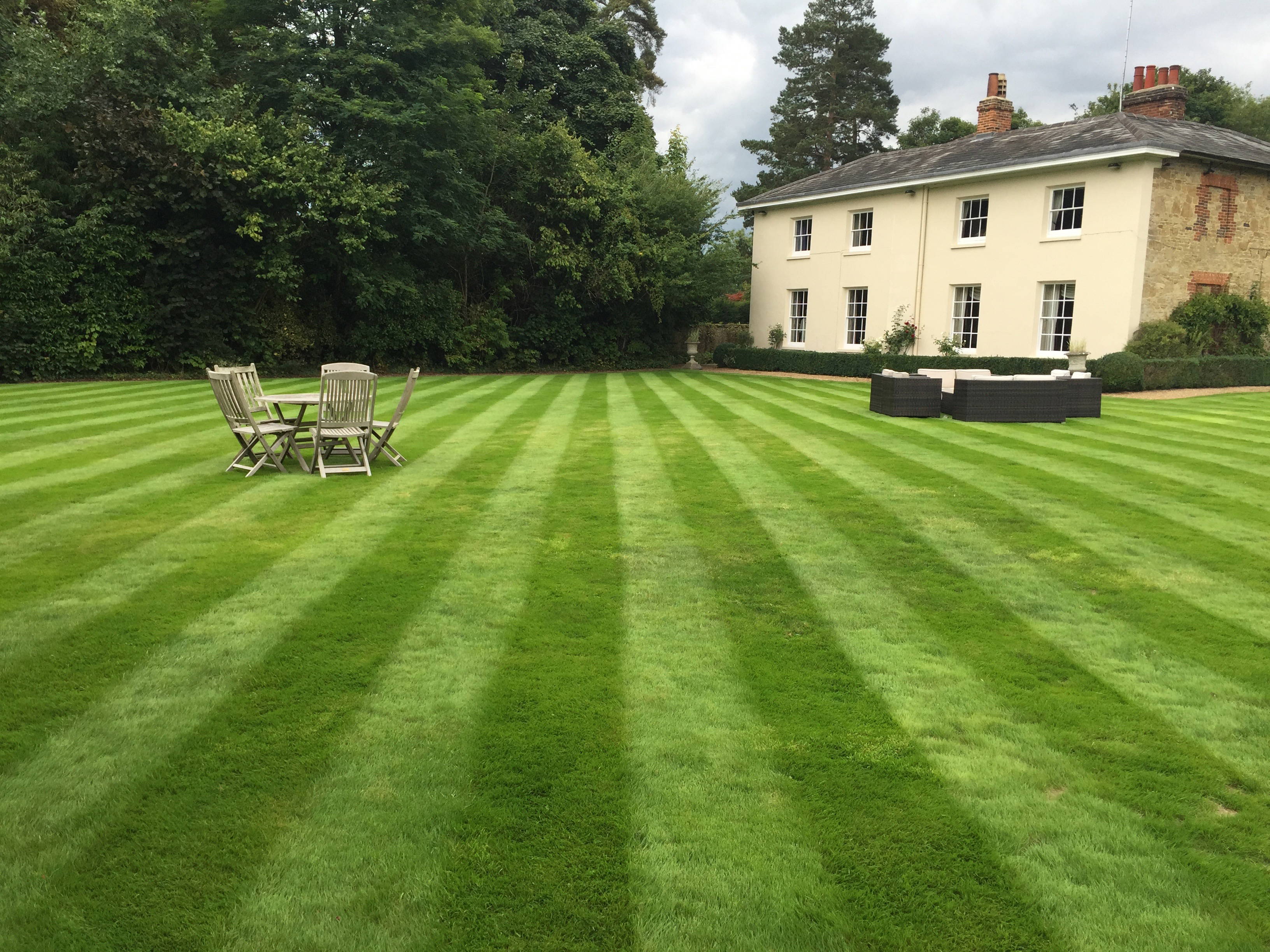 Surrey Total Lawn Care Spring Grass CuttingSpring Grass
