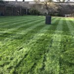 Grass cutting Surrey Total Lawn Care